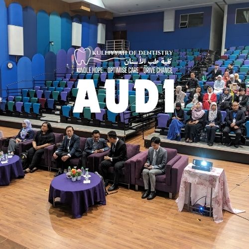 1740556525_AUDI.jpg